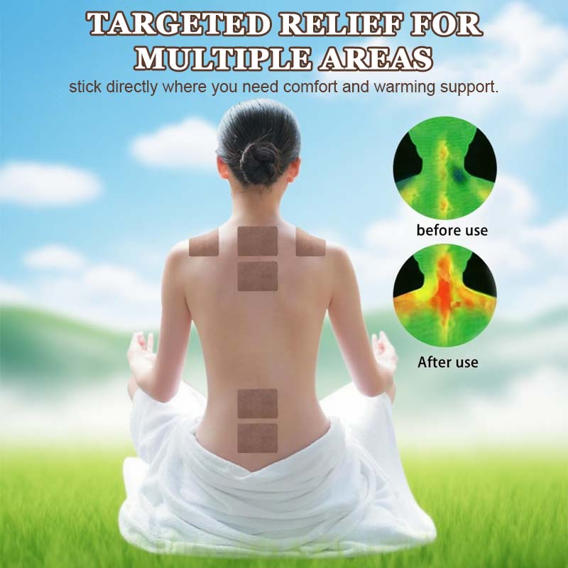 đ„2025 Uusi tulokas đ„Koiruoho-moxibustion-nivellaastari