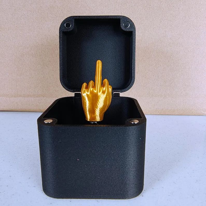 đMittelfinger in einer Box