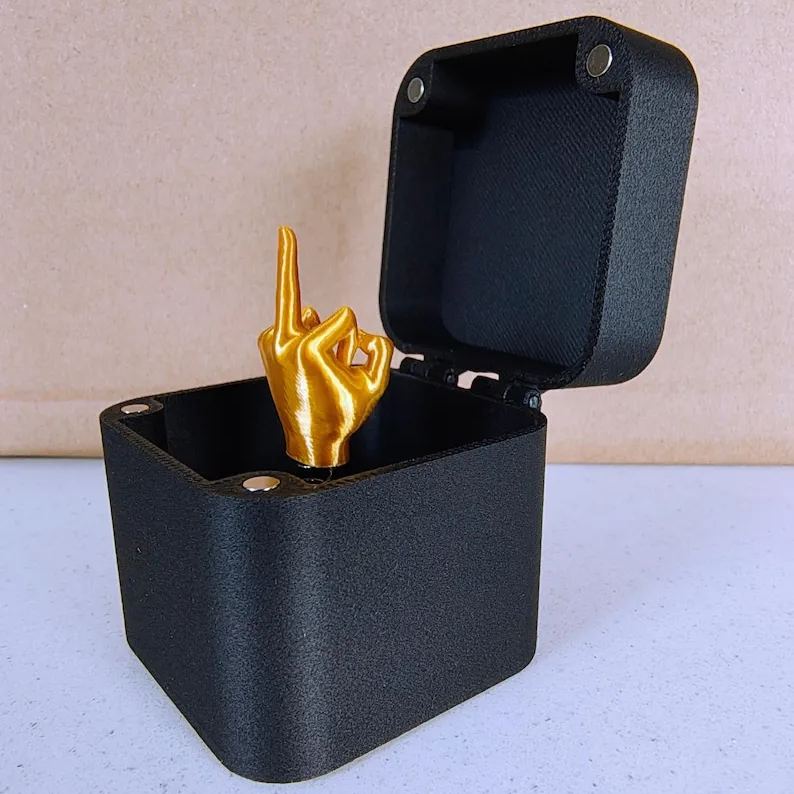 đMittelfinger in einer Box