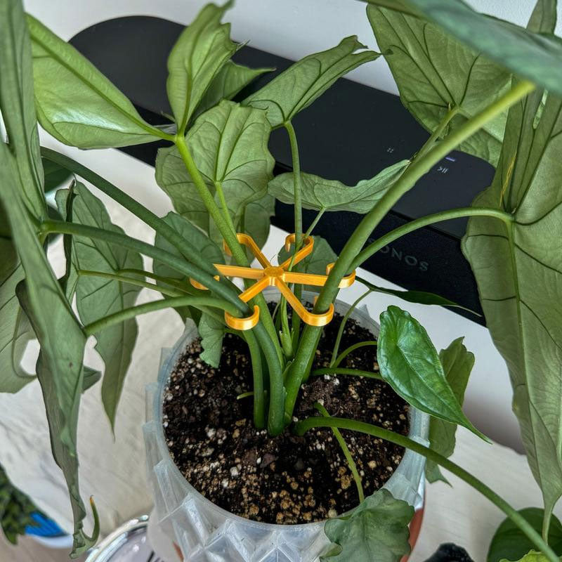 Kasvien varren tuki (4 kpl