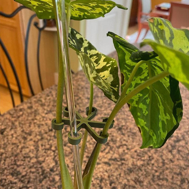 Kasvien varren tuki (4 kpl